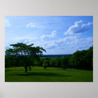 Tree in Field & Beautiful Sky Poster