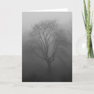 tree in fog card