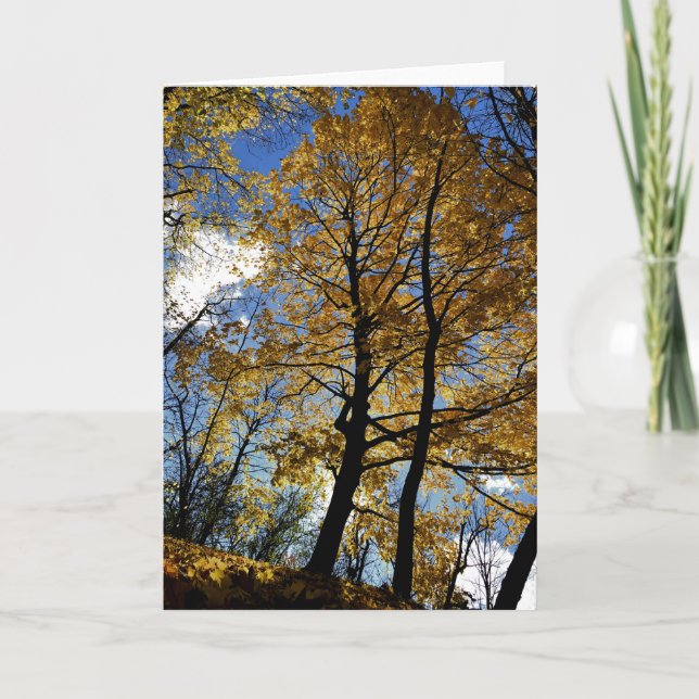 Tree in Foliage Greeting Card (Front)