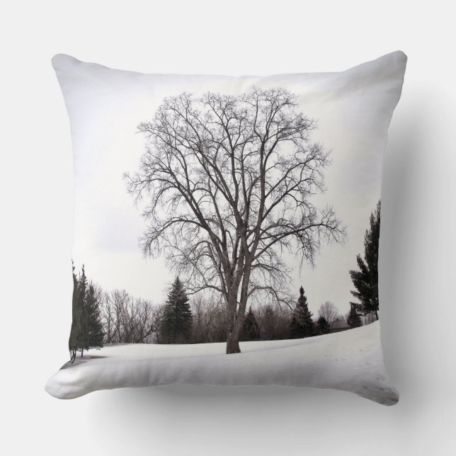 Tree in Landscape Early Spring Snow Cushion (Front)
