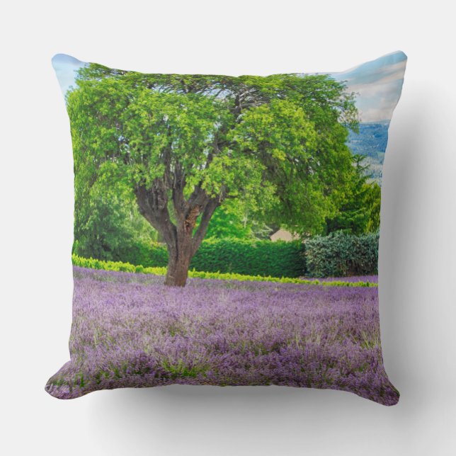 Tree in Lavender Field, France Cushion (Front)
