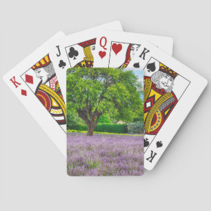 Tree in Lavender Field, France Playing Cards
