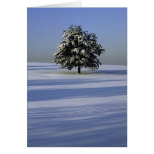 Tree in snow covered landscape
