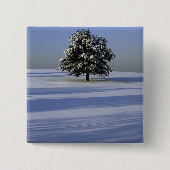Tree in snow covered landscape 15 cm square badge (Front)