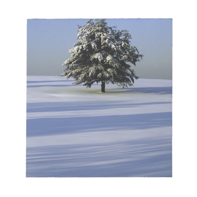 Tree in snow covered landscape notepad (Front)