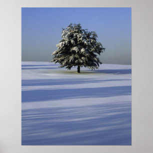 Tree in snow covered landscape poster