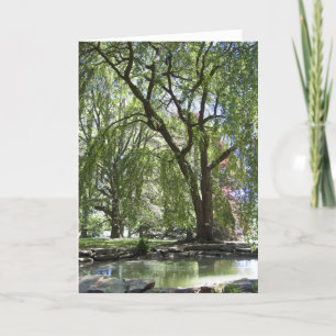 Tree in Spring Card