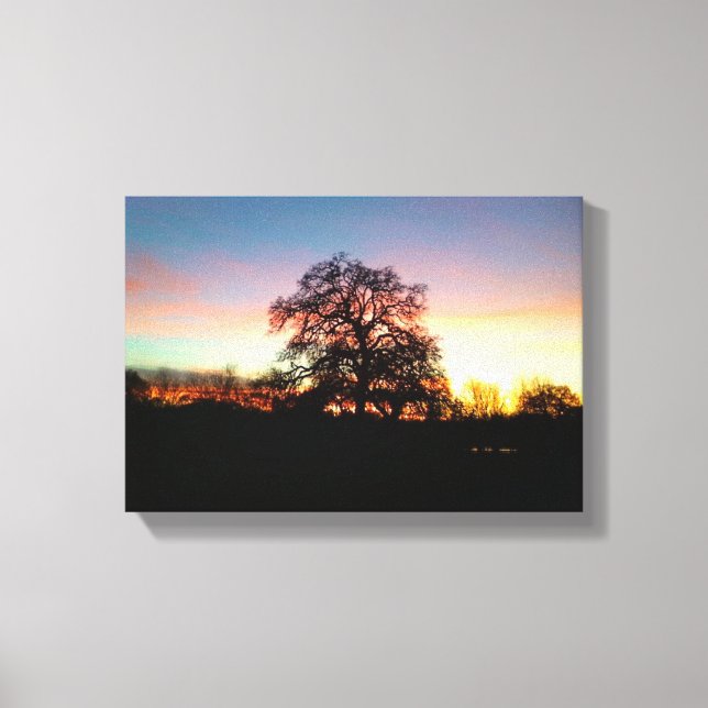 tree in sunset canvas print (Front)