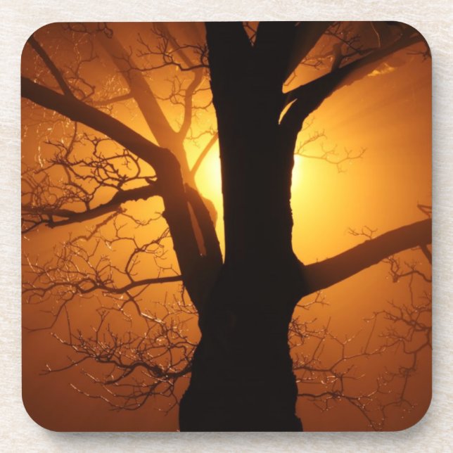 Tree In The Fog Cork Coasters (Front)