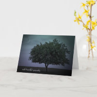 Tree in the Moonlight Sympathy