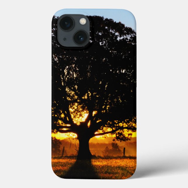 Tree in the Morning Case-Mate iPhone Case (Back)