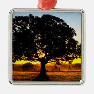 Tree in the Morning Metal Tree Decoration