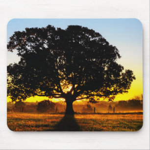 Tree in the Morning Mouse Mat