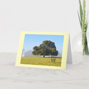 Tree in the winter sun holiday card