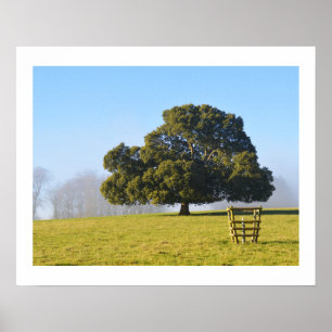 Tree in the winter sun poster