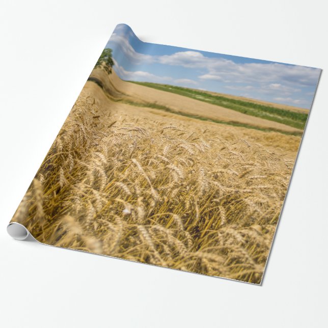Tree In Wheat Field Landscape Wrapping Paper (Unrolled)