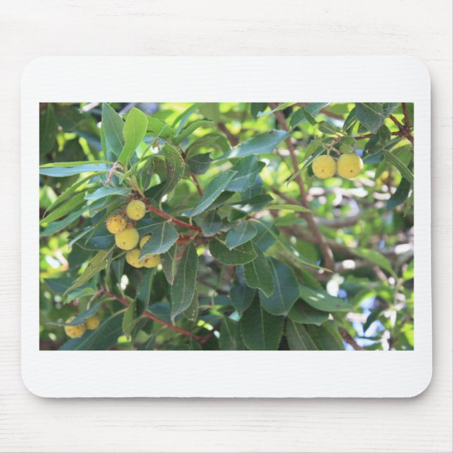 Tree, Italy Mouse Mat (Front)