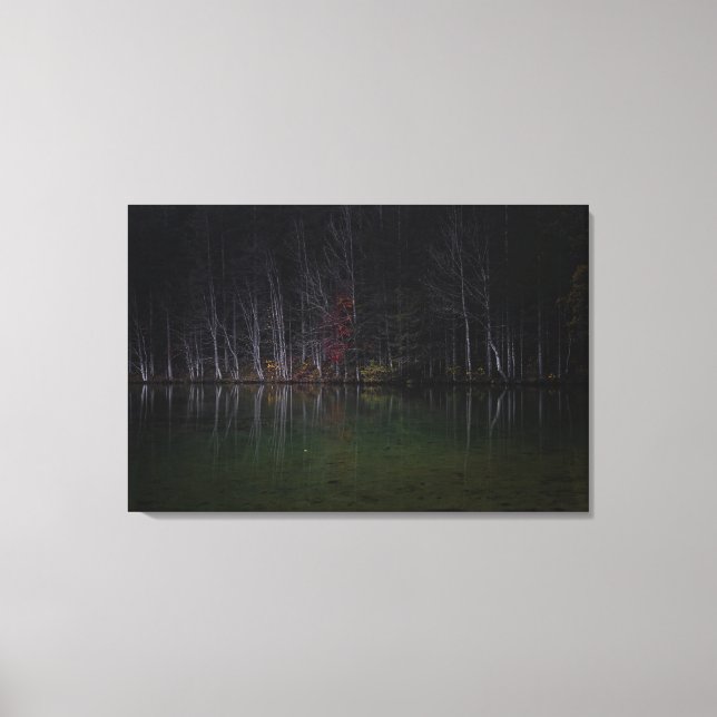 Tree landscape at lake canvas print (Front)