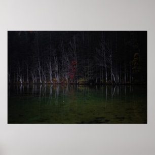 Tree landscape at lake poster