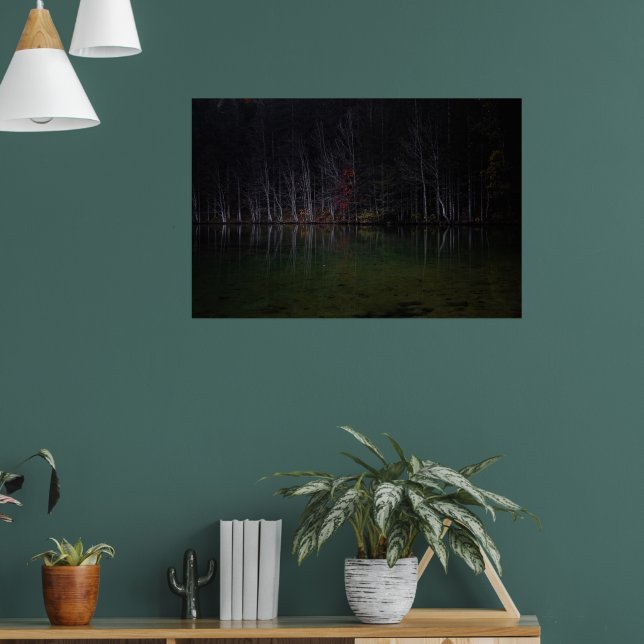 Tree landscape at lake poster (Living Room 1)