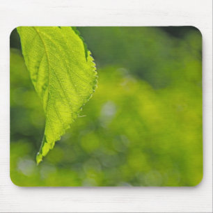 Tree leaf bokeh mouse mat