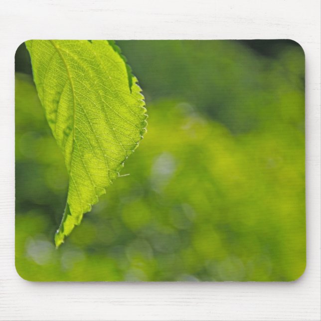Tree leaf bokeh mouse mat (Front)