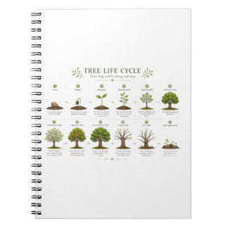 Tree Life Cycle Botanical Educational Nature Notebook
