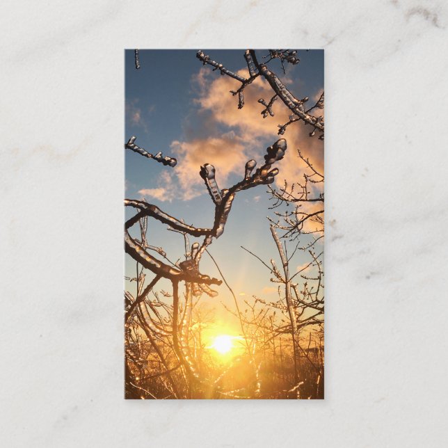 tree limb icicles business card (Front)