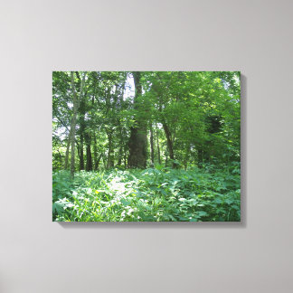 Tree line canvas print