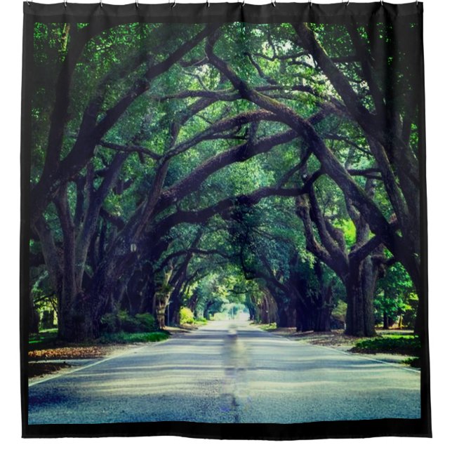 TREE LINED AVENUE SHOWER CURTAIN (Front)