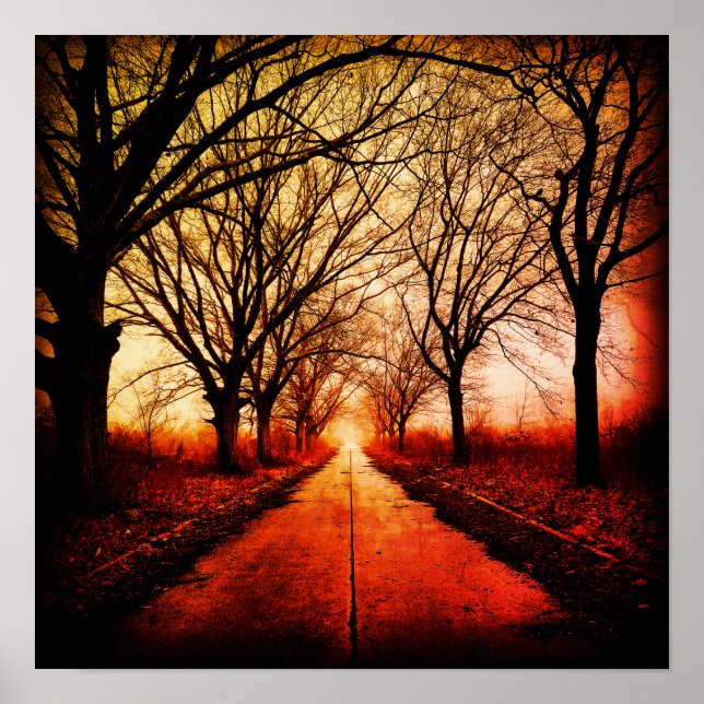 Tree-lined path poster (Front)