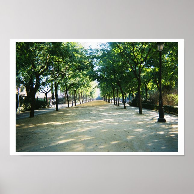 tree lined path poster (Front)