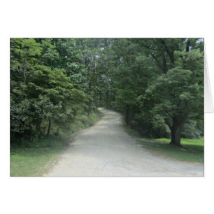 Tree lined path through woods