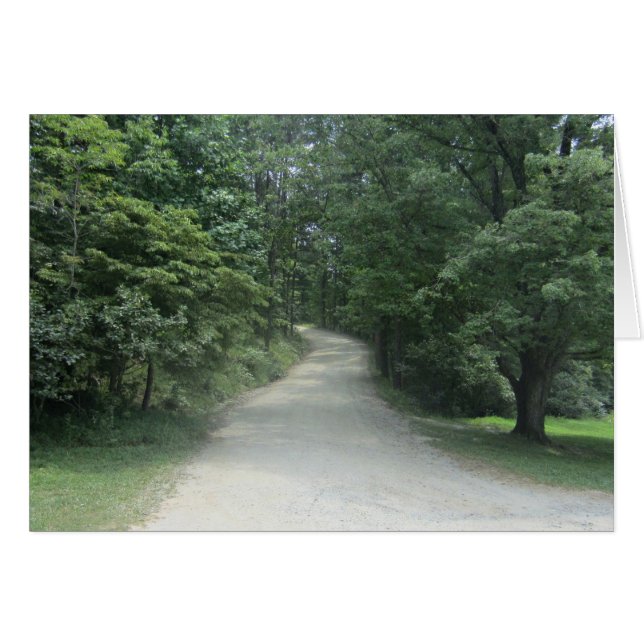 Tree lined path through woods (Front Horizontal)