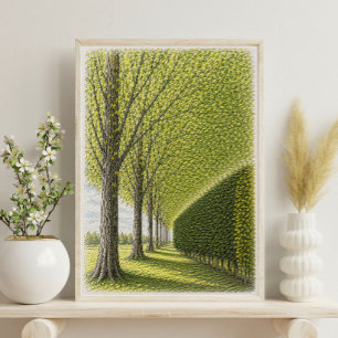 Tree Lined Pathway Botanical Landscape Art Poster
