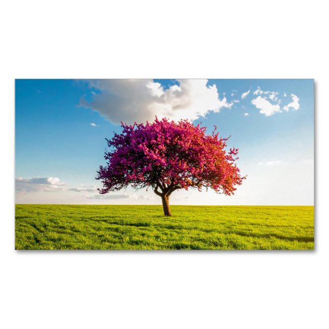 tree 	Magnetic business card (Front)