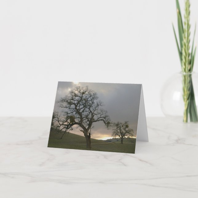 Tree Mates: Winter Oaks with Mistletoe Holiday Card (Front)