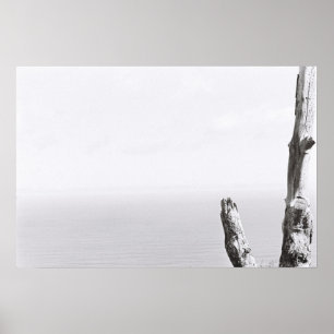 Tree Minimalistic Monochrome Kodak Film Poster