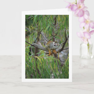 Tree Monkey Card