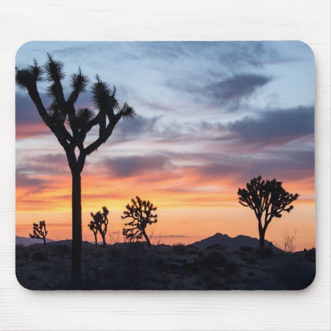 Tree Mouse Mat (Front)