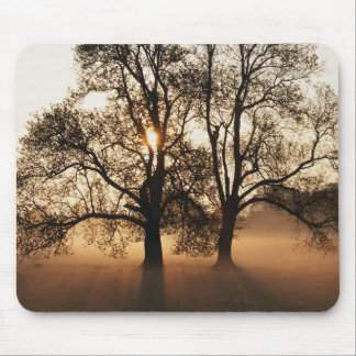 Tree Mouse Mat