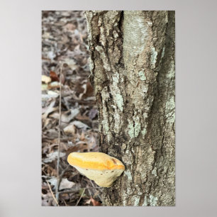 Tree Mushroom Poster