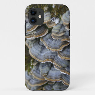 Tree Mushrooms Phone Case, iPhone SE + iPhone 5/5S iPhone 11 Case