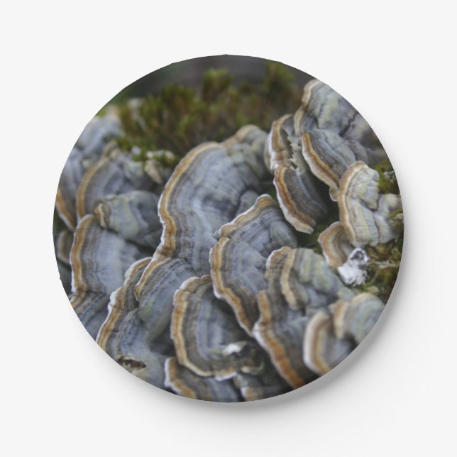 Tree Mushrooms Photo Paper Plates (Front)