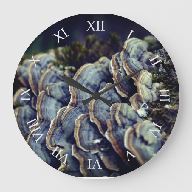 Tree Mushrooms Photo Wall Clock (Front)