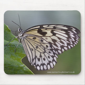 Tree Nymph Mousemat