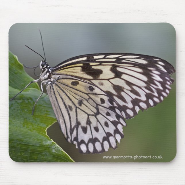 Tree Nymph Mousemat (Front)