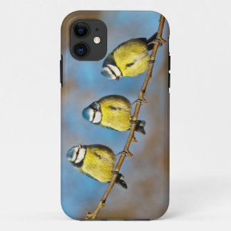 Tree-o iPhone 5 Case