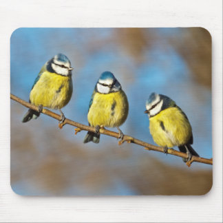 Tree-o Mousemat