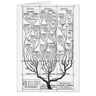 Tree of Life